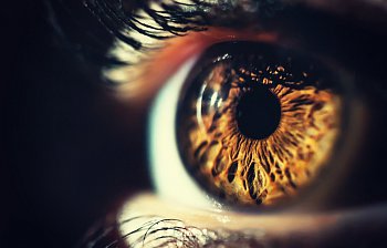 pupil
