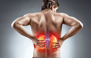 kidney