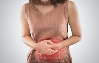 intestine