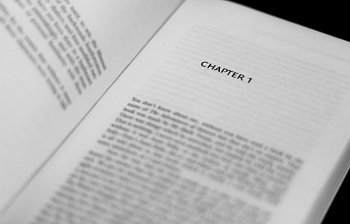 chapter