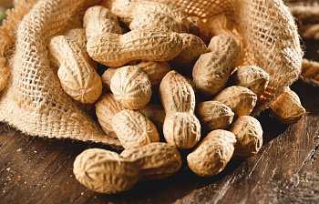 peanut