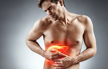 liver