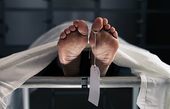 corpse
