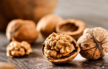 walnut