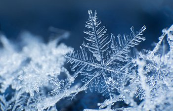 snowflake
