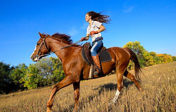 horseriding