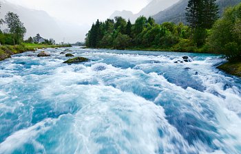 rapids