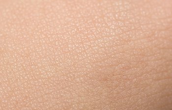 skin