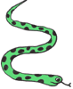 a snake