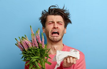 sneeze