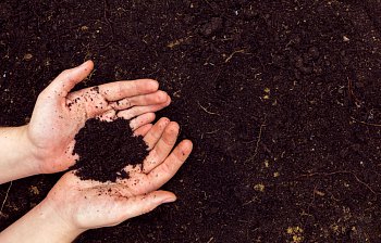 soil