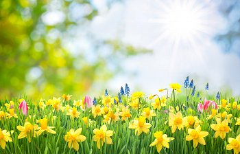 spring