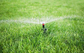 sprinkler
