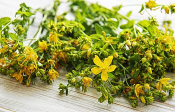 St John's Wort