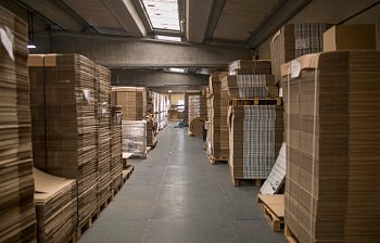 stock