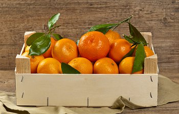 tangerine