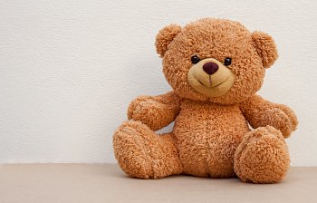 teddy bear