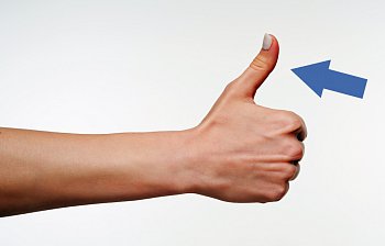 thumb