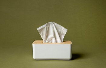 tissue