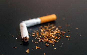tobacco