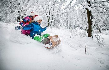 toboggan