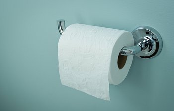toilet paper