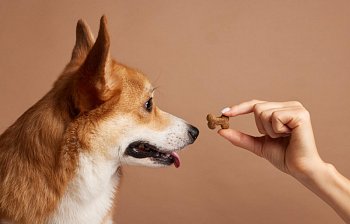 treat