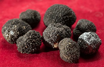 truffle
