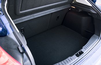 trunk