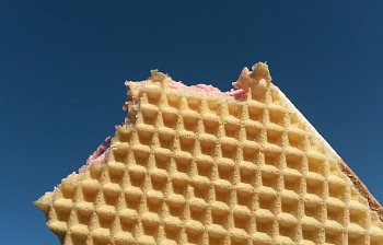 wafer