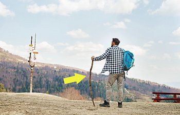 walking stick