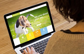 website