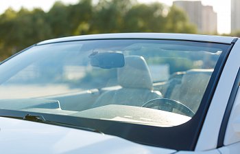 windshield